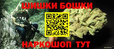 гашик Кунгур