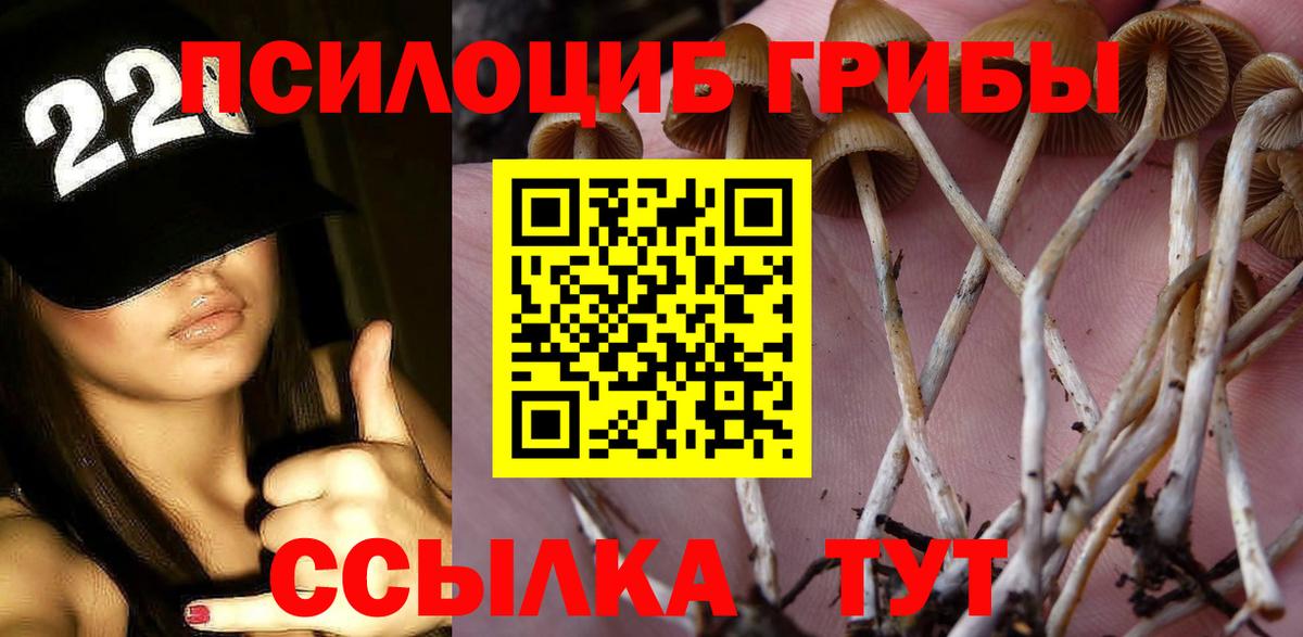 Галлюциногенные грибы Psilocybine cubensis  Вход с VPN  Видное 