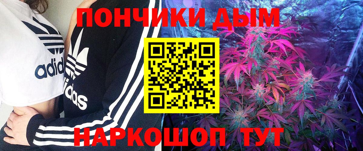 Конопля ГИДРОПОН  Вход с VPN  Канабис план  Видное  Марихуана Ganja 